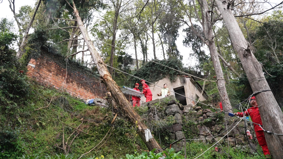 3月26日 (1)(7).jpg