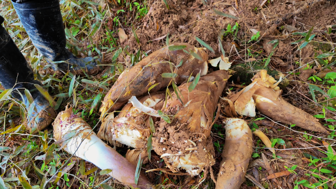 4月2日 (1)-副本 (1)(4).jpg