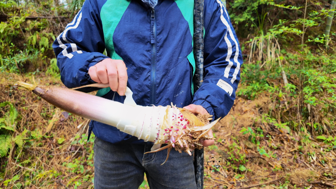 4月2日 (1)-副本 (1)(1).jpg