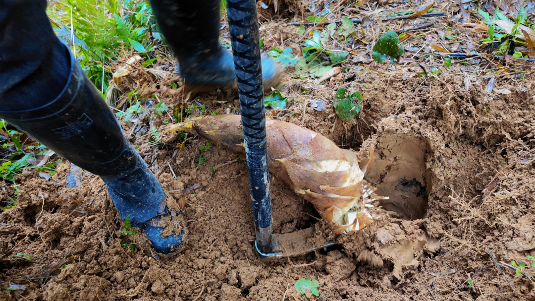 4月2日 (1)-副本 (1)(2).jpg