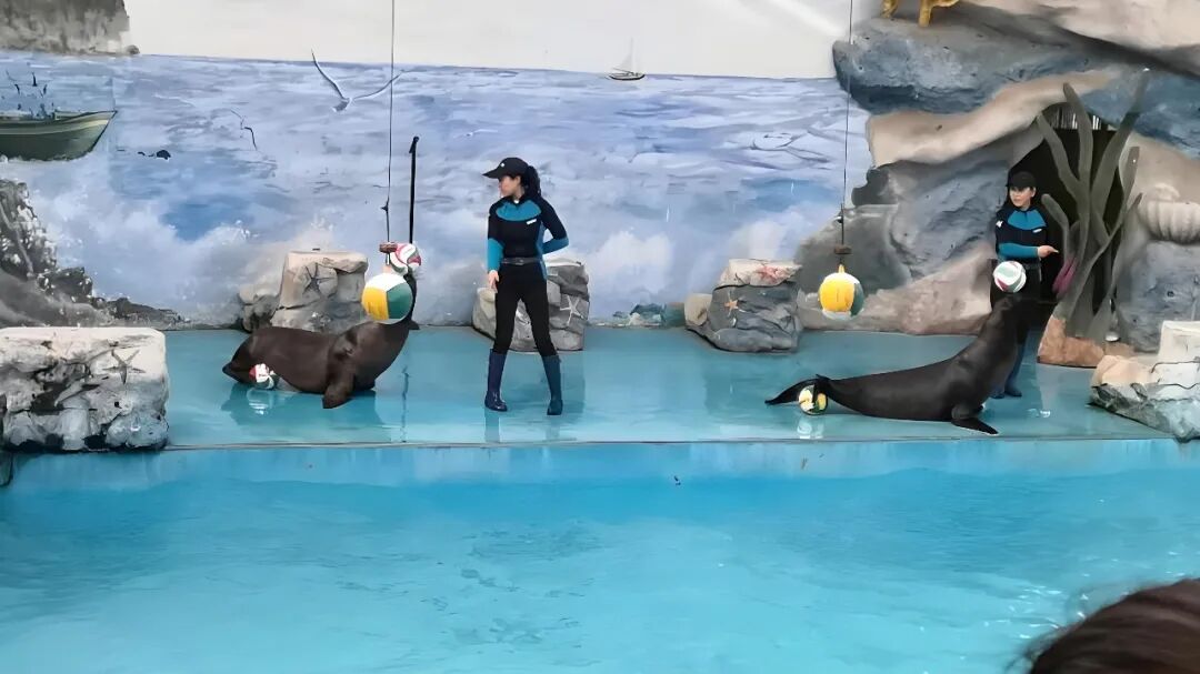 downloaded-image (3).jpg