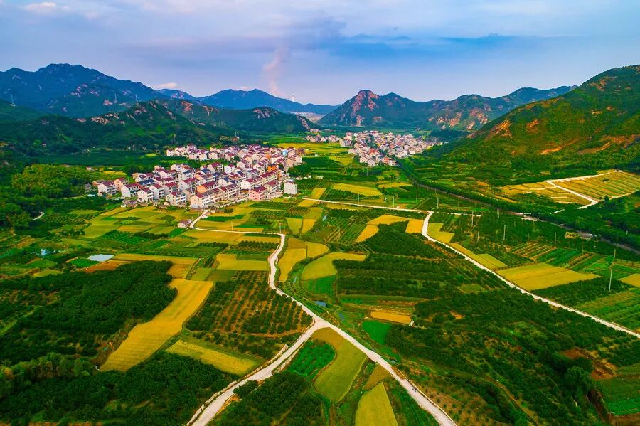 凌齐亮《美丽家园》.jpg