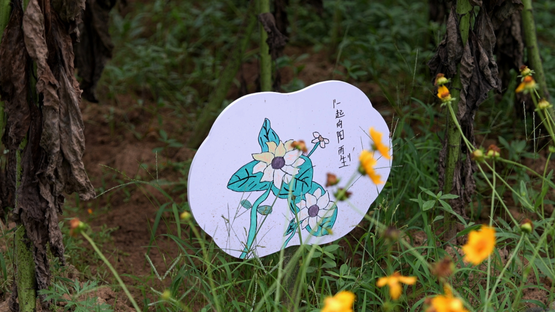 6月4日 (2).jpg