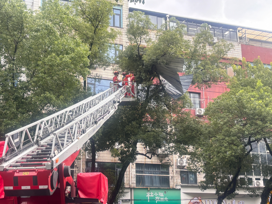 微信图片_20260712155842_119_227.jpg