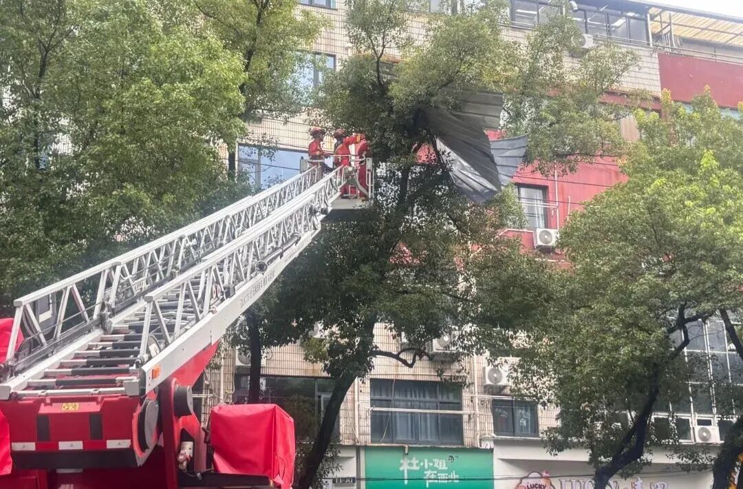 微信图片_20260712155842_119_227.jpg