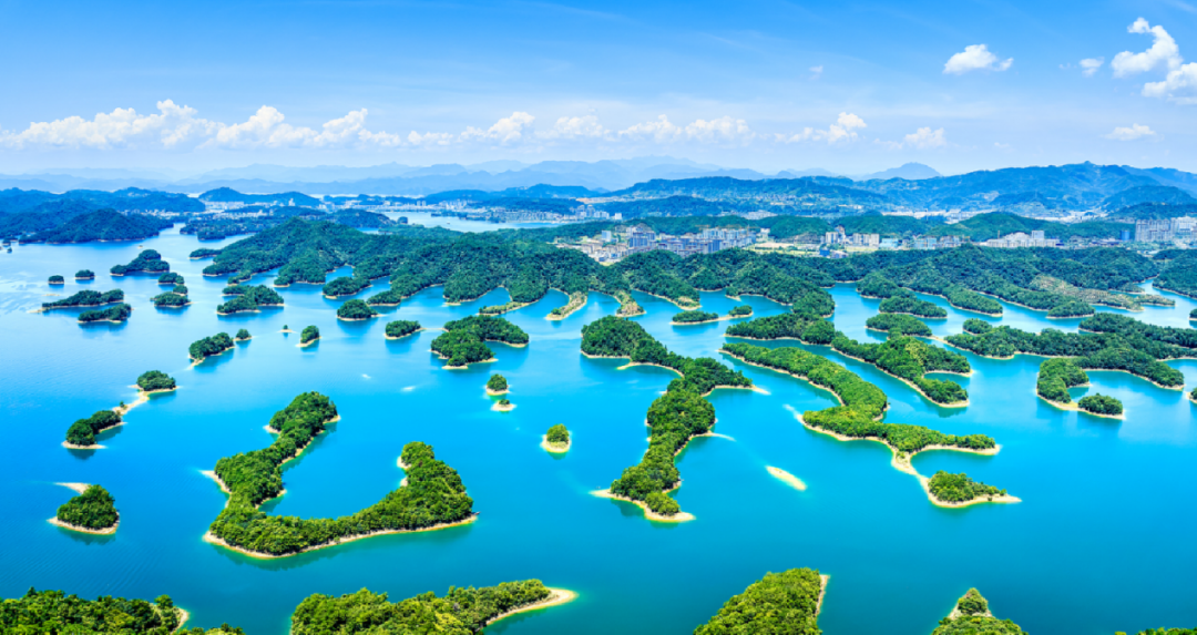 微信图片_2026-07-24_151153_252.png