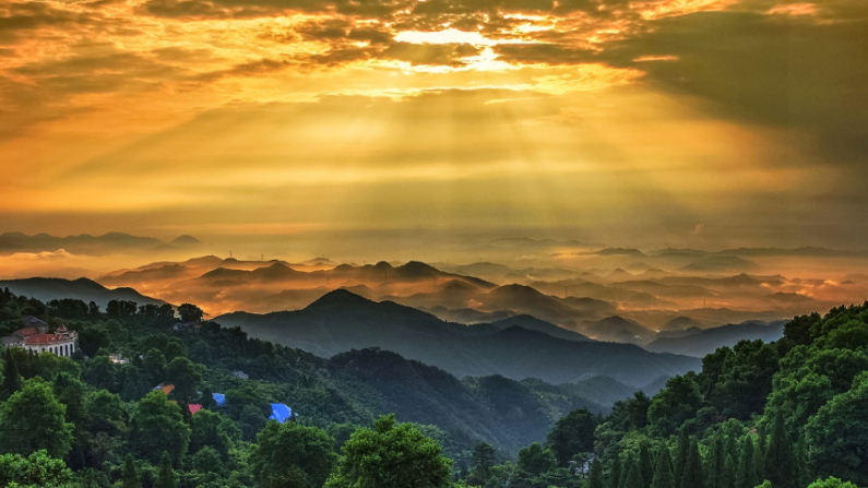 微信图片_2026-07-24_151346_801.png