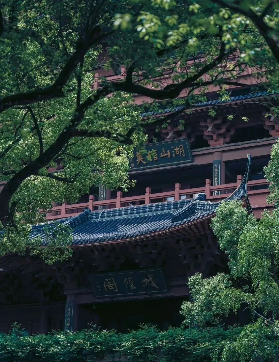 微信图片_2026-07-24_152505_223.jpg