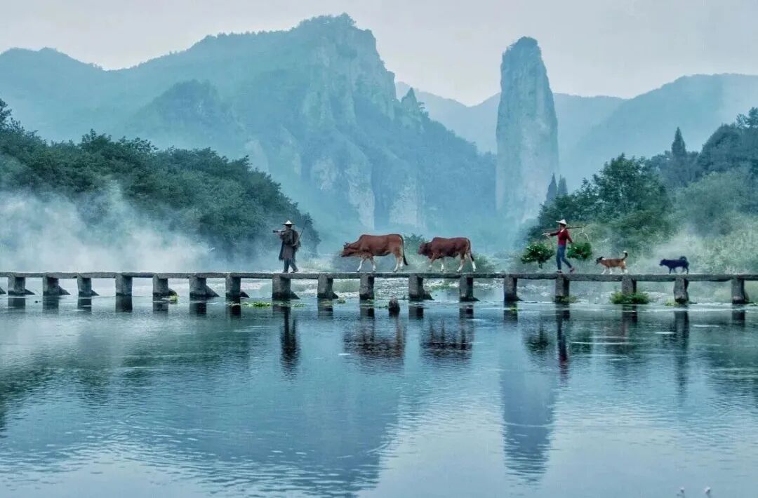 微信图片_2026-07-24_153537_788.jpg