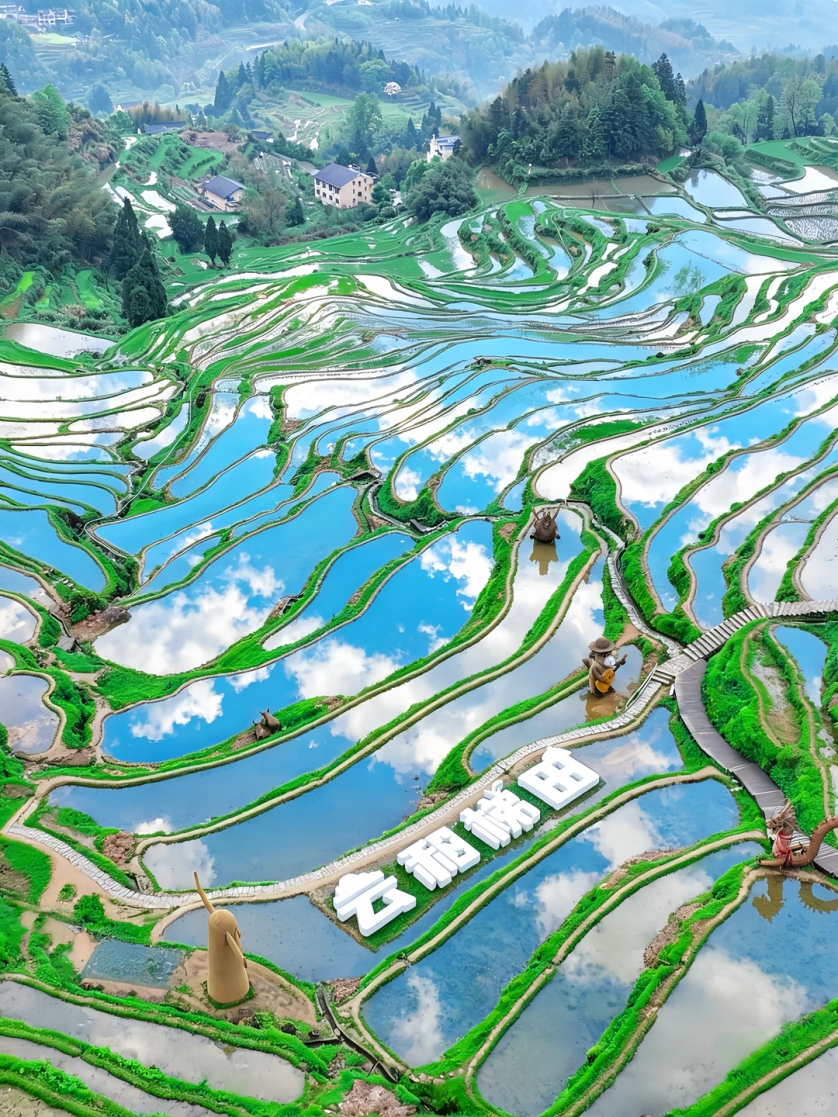 微信图片_2026-07-24_154225_777.png