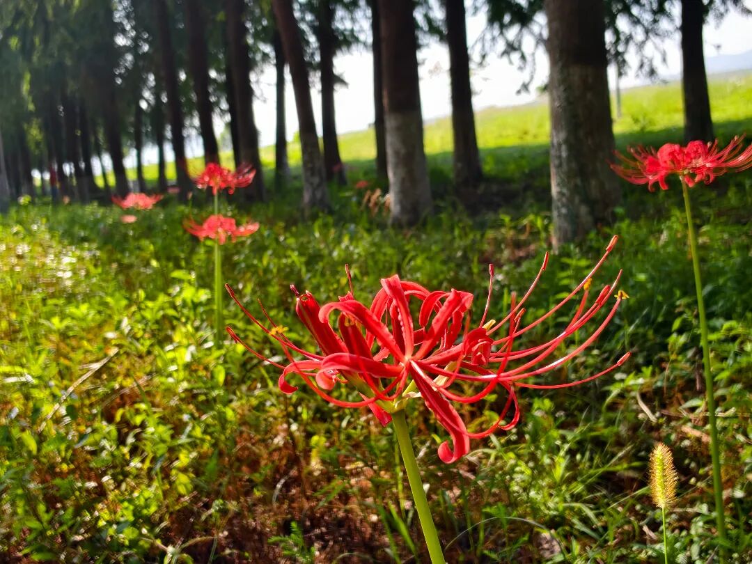 微信图片_20260920110524_12_32.jpg