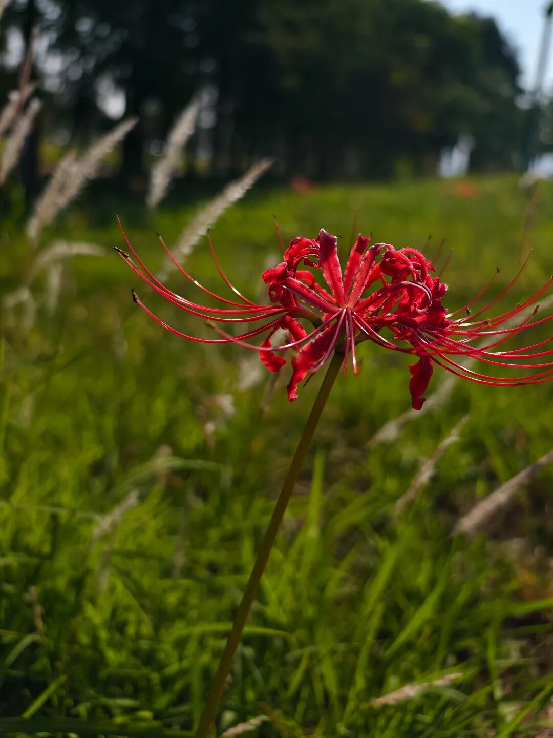 微信图片_20260920110522_11_32.jpg